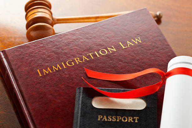 Immigration Habeas Corpus Attorney